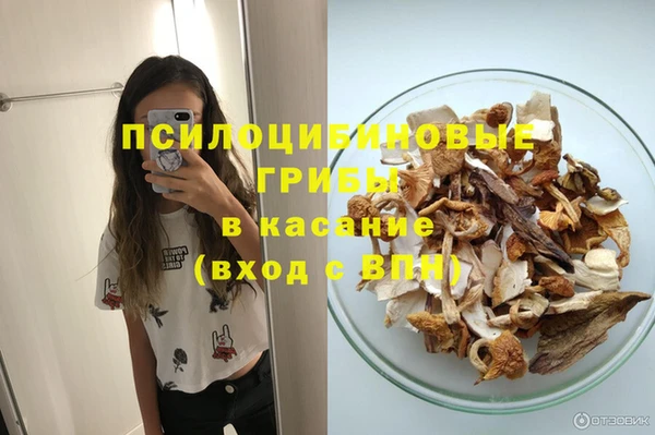 крисы Белоозёрский