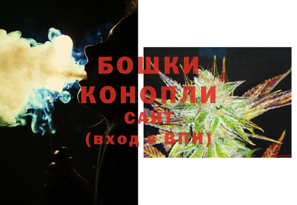 крисы Белоозёрский